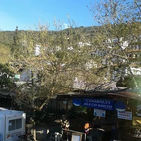 Cinaralti
